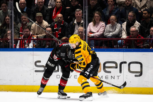 Malmö Redhawks Robin Salo och Skellefteås Oliver Okuliar