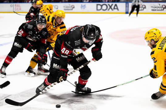 Malmö Redhawks Lauri Pajuniemi
