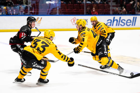 Malmö Redhawks Petter Vesterheim och Skellefteås Max