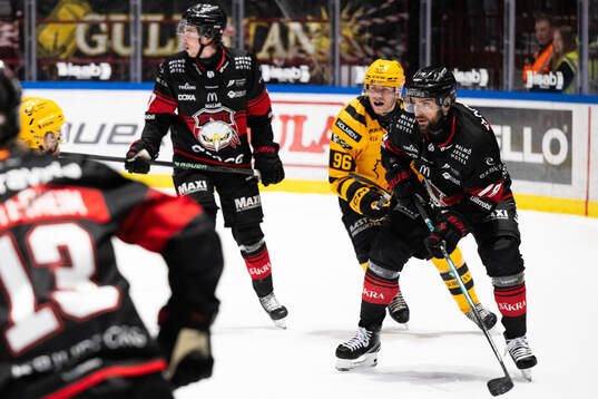 Malmö Redhawks Robin Hanzl
