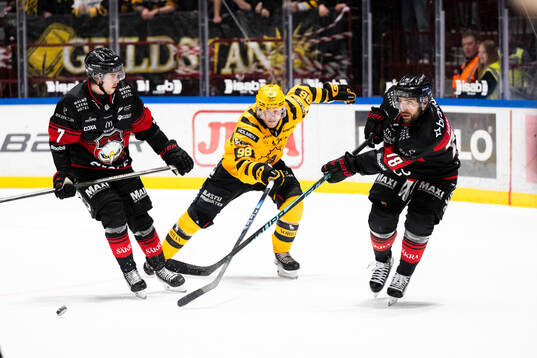 Malmö Redhawks Robin Hanzl