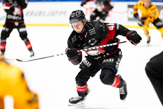 Malmö Redhawks Lauri Pajuniemi