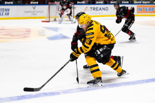 Skellefteås Rickard Hugg