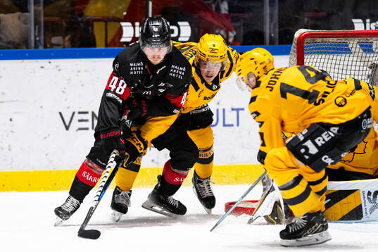 Malmö Redhawks Lauri Pajuniemi