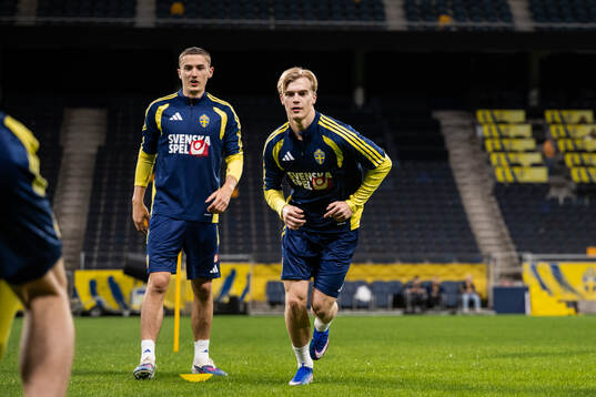 Gustaf Lagerbielke and Lucas Bergvall of the Swedish
