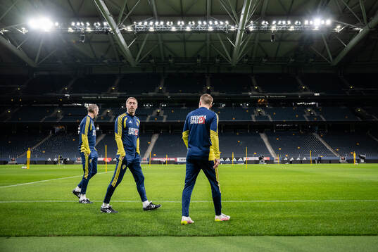 head coach Graham Potter of the Swedish national football