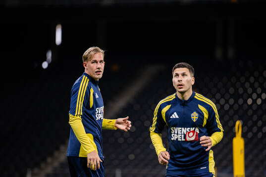Herman Johansson and Roony Bardghji of the Swedish national