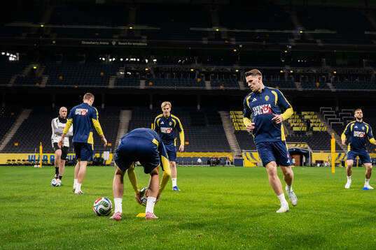 Viktor Gyökeres of the Swedish national football team at a