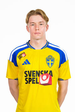 Daniel Svensson of the Swedish national football team poses