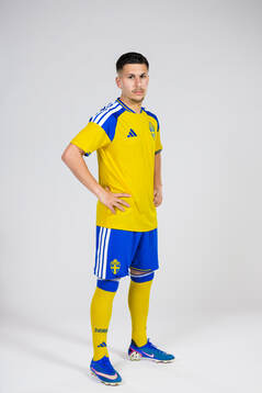 Roony Bardghji of the Swedish national football team poses