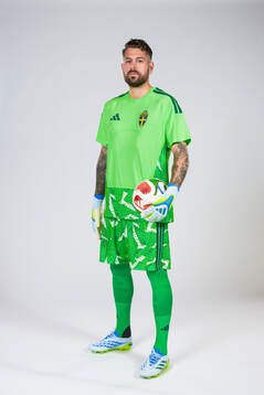 Goalkeeper Kristoffer Nordfeldt of the Swedish national