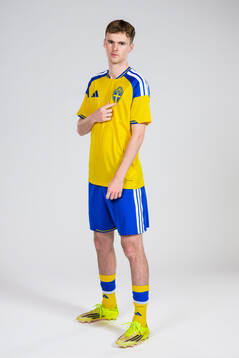 Williot Swedberg of the Swedish national football team