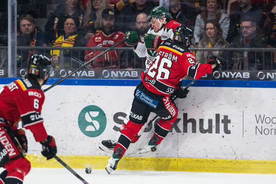 Frölundas Filip Cederqvist och Luleås Oliwer Sjöström