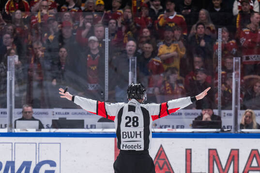 Domare Mikael Holm dömer bort Luleås 4-3-mål