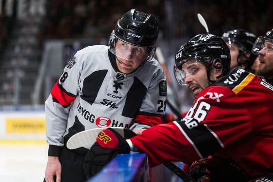 Domare Mikael Holm och Luleås Mathias Bromé