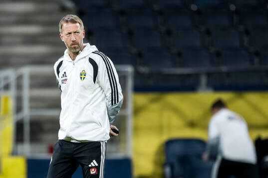 Head coach Graham Potter of the Swedish national football