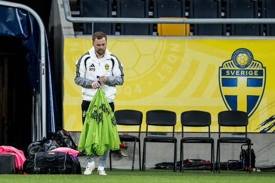 Assistant coach Sebastian Larsson of the Swedish national