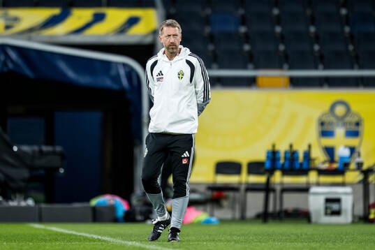 Head coach Graham Potter of the Swedish national football