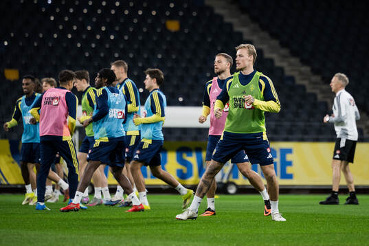 Victor Eriksson of the Swedish national football team at a