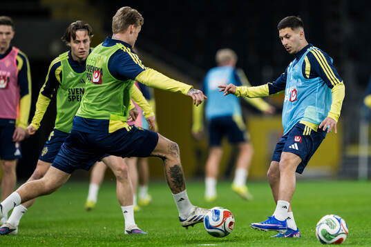 Roony Bardghji of the Swedish national football team at a