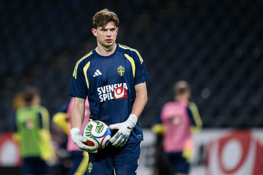 goalkeeper Melker Ellborg of the Swedish national football