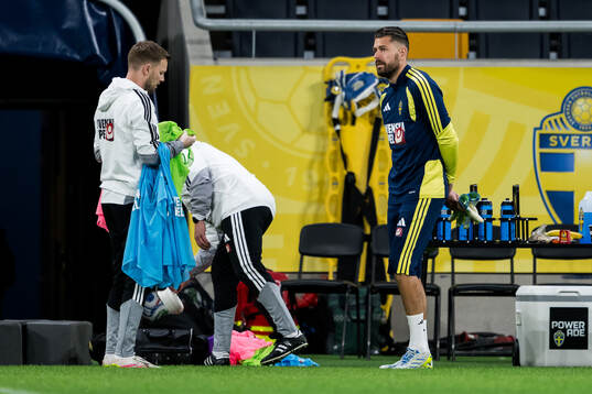 goalkeeper Kristoffer Nordfeldt of the Swedish national