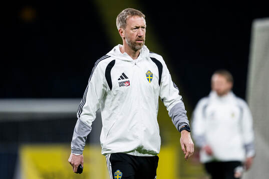 Head coach Graham Potter of the Swedish national football