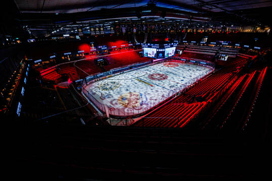 Monitor ERP Arena