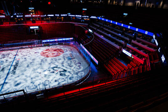 Monitor ERP Arena