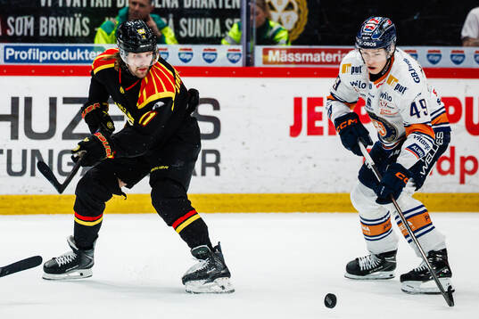 Brynäs Axel Jonsson-Fjällby och Växjös Leo Sahlin