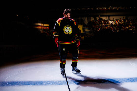 Brynäs Michal Kempny