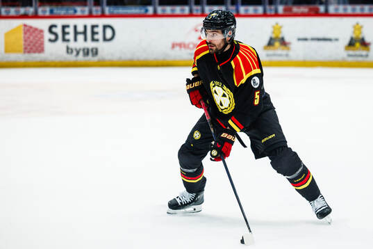 Brynäs Michal Kempny
