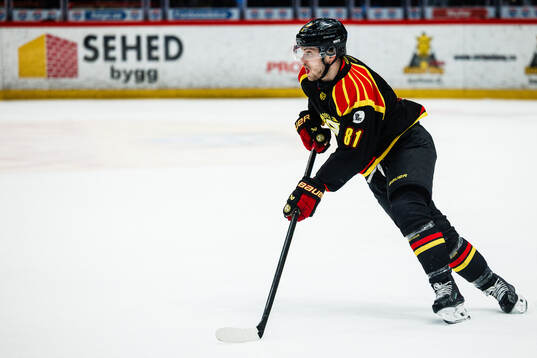 Brynäs Kieffer Bellows