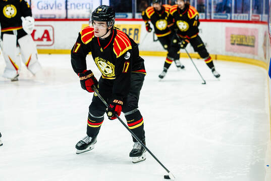 Brynäs Michal Svrcek