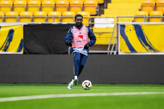 Peter Amoran of the Swedish under-21 national football team
