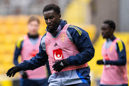 Peter Amoran of the Swedish under-21 national football team