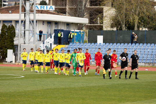 Players of Sweden