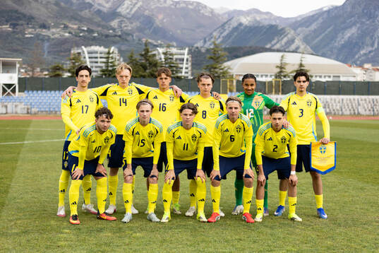 Players of Sweden
