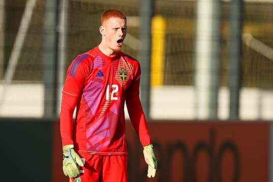 Goalkeeper Joakim Persson of Sweden