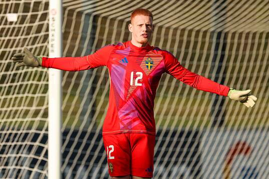 Goalkeeper Joakim Persson of Sweden