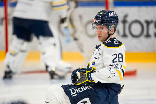 Södertäljes Adam Hesselvall