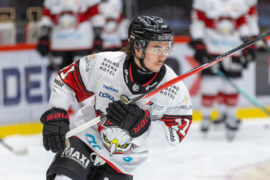 Malmö Redhawks Elia Pedrotti