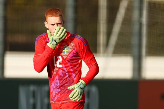 Goalkeeper Joakim Persson of Sweden