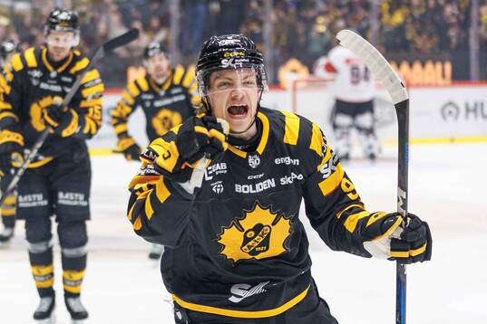 Bläddra bland fler bilder av Ishockey, SHL, Kvartsfinal 5, Skellefteå - Malmö Redhawks
