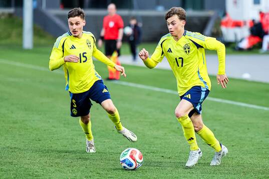 Melvin Vucenovic Persson and Fred Bozicevic of Sweden
