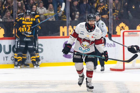 Malmö Redhawks Robin Hanzl deppar