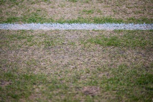 Quality of the grass at Ullevaal stadion