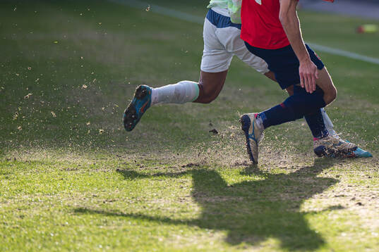 Quality of the grass at Ullevaal stadion