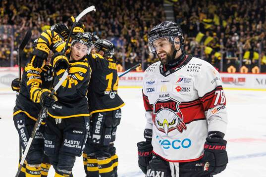 Malmö Redhawks Robin Hanzl deppar