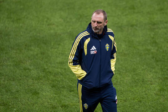 Assistant coach Andreas Georgson of Sweden
